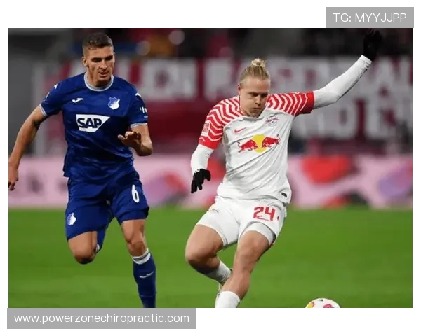 莱比锡关键球员 莱比锡关键球员