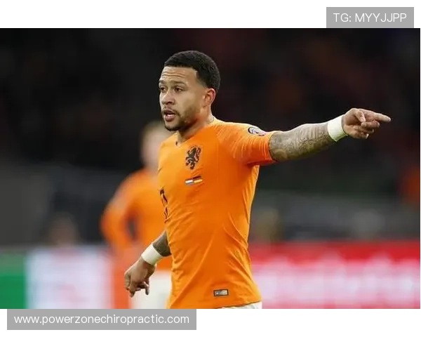 德佩技术全面性