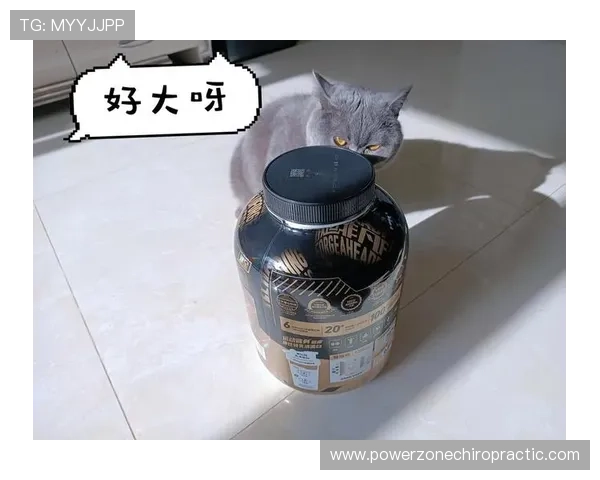 贝林厄姆家的冰箱里塞满了蛋白粉，连瓶可乐都找不到